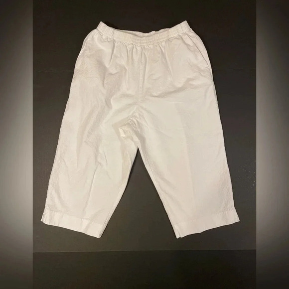 Alfred Dunner elastic waist Capri size 10 - Picture 1 of 3